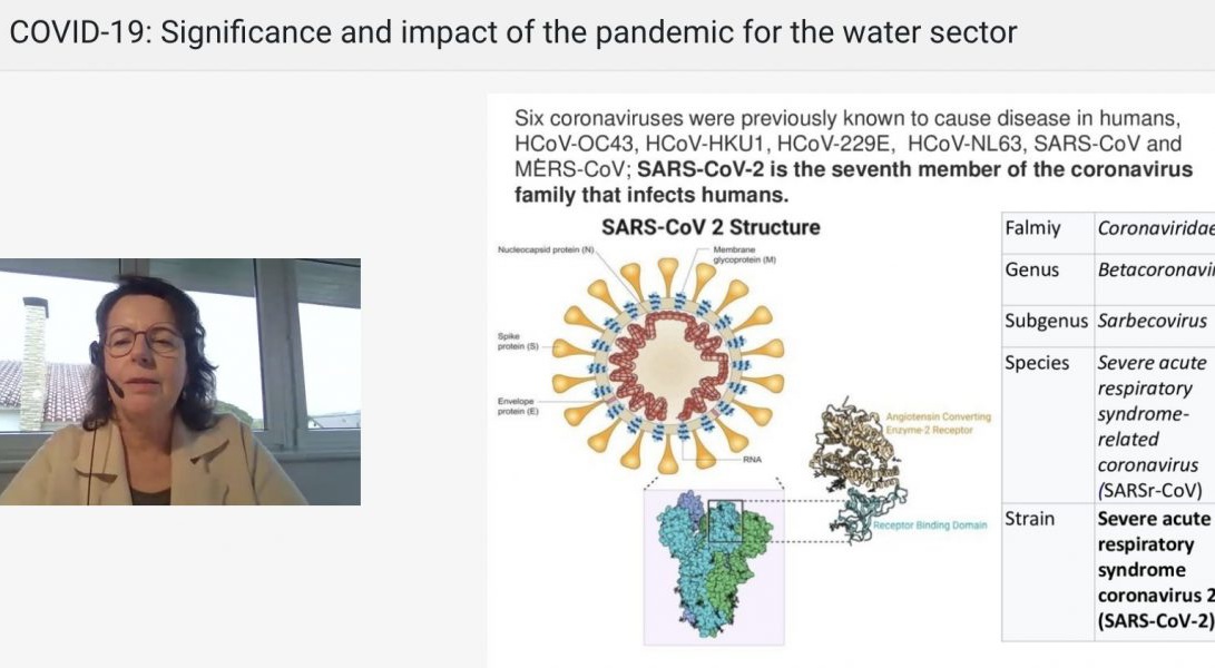 Isgsd webinar covid19